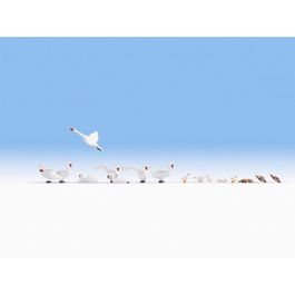 CISNES Y PATOS H0 NOCH