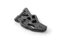 TRAPECIO DEL INF XB8 XRAY