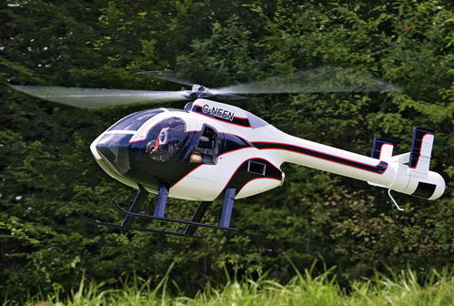 FUSELAJE Hughes MD 520 N  - VARIO