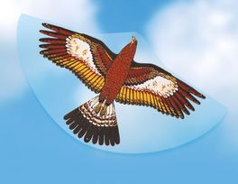 COMETA ÁGUILA GÜNTHER