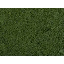 FOLLAJE VERDE OSCURO NOCH