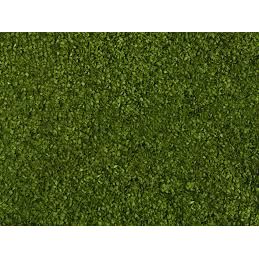 FOLLAJE HOJAS VERDE MEDIO NOCH