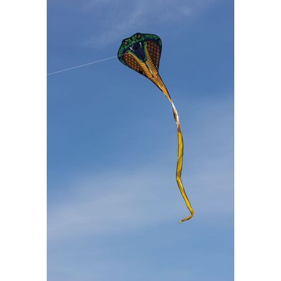 COMETA COBRA GUNTHER