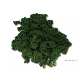 MUSGO NATURAL VERDE  OSCURO 50G KERANOVA