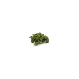 MUSGO NATURAL VERDE MENTA 50G KERANOVA