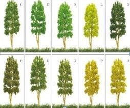 ARBOL DE CALLE 25-30-60MM KERANOVA 15UDS SURTIDAS