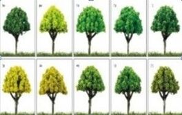 ARBOL PEQUEÑO 30-40-50MM KERANOVA 15UDS SURTIDAS