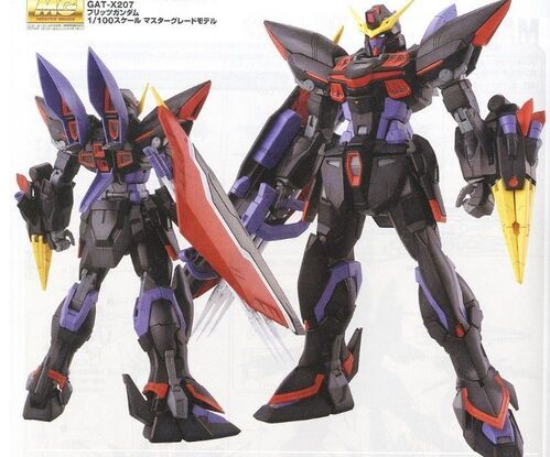 SEED GAT-X207 BLITZ GUNDAM RE-RUN 1/100 BANDAI MG