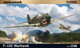 P-40E WARHAWK 1/48 EDUARD PROFIPACK