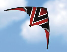 COMETA CARBON DESIGN LOOP GÜNTHER 2 LINEAS